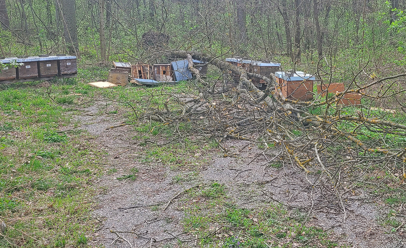 Sturmschaden Bienenvölker