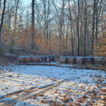 Bienenvölker im Winter